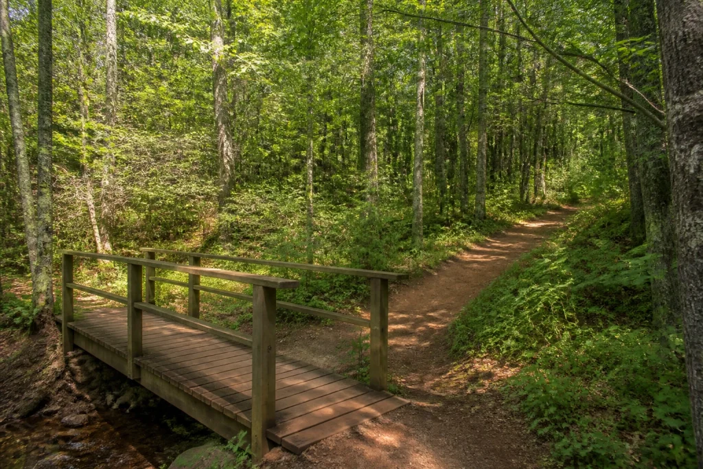 Wooden bridge along the Balsam Hollow and Lover’s Lane trail at Green Gables Heritage Place