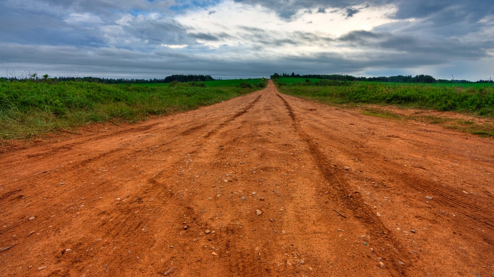 Country road through green fields in Prince Edward Island