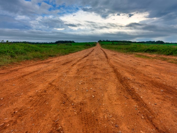 Country road through green fields in Prince Edward Island