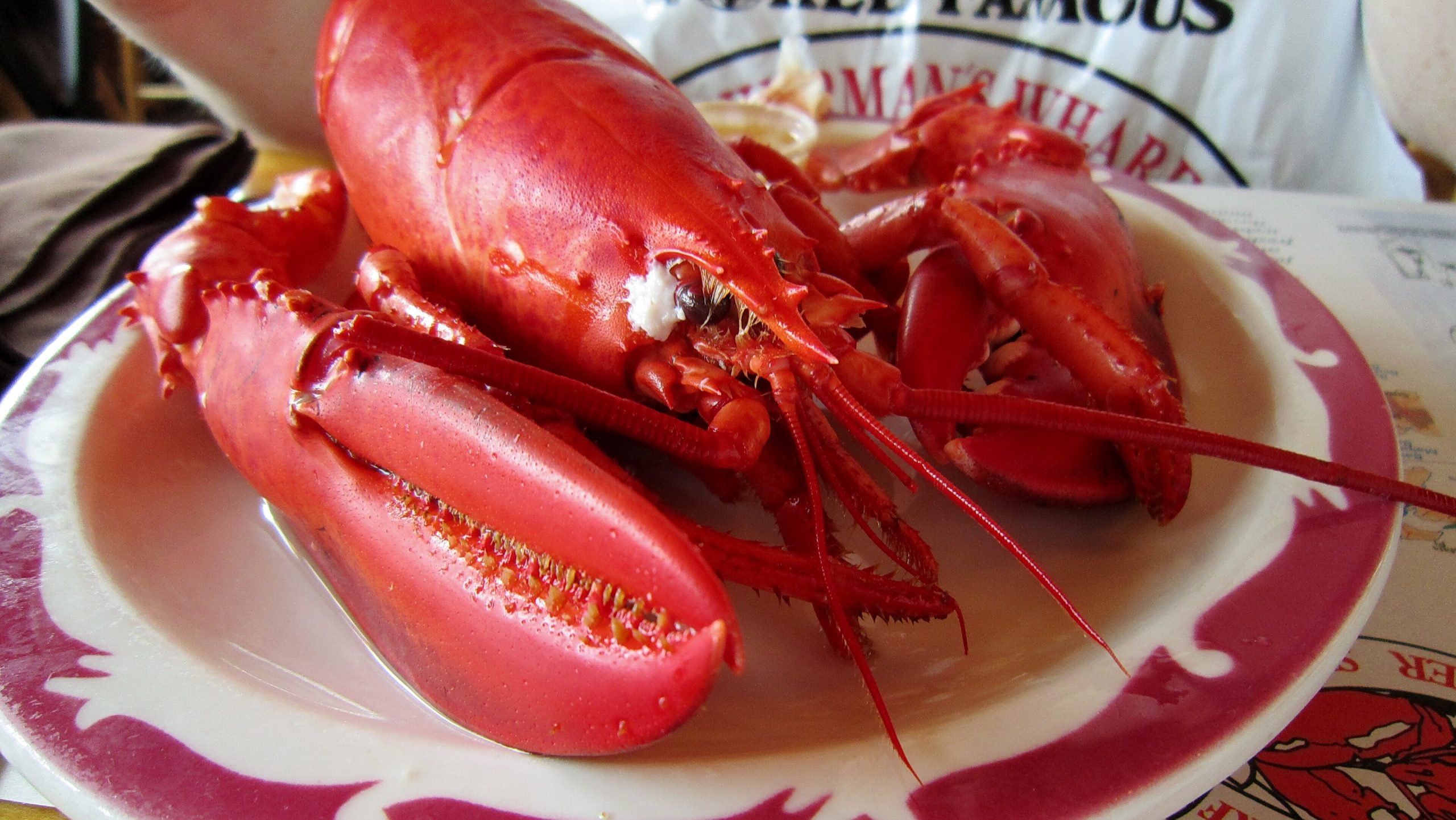 Prince Edward Island seafood supper